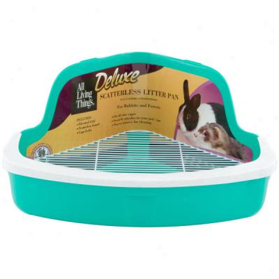 All Benefice Things® Deluxe Guinea Pig Kit