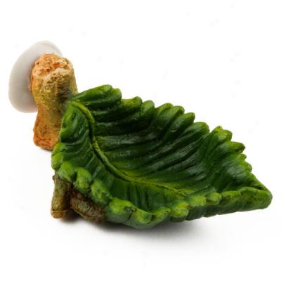 All Living Things® Leaf Water Dish