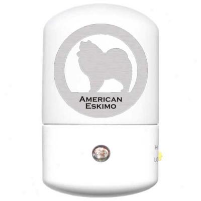 American Eskimo Led Night Light