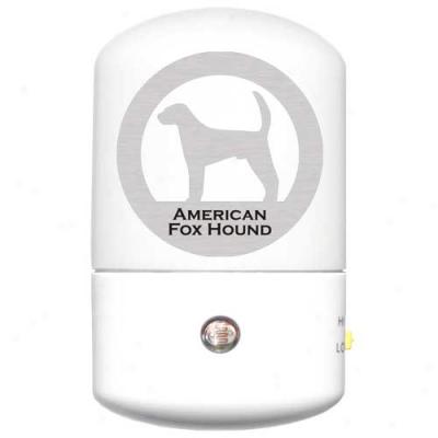 American Foxhound Led Night Light