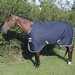 Amigo Medium Weight Turn0ut Horse Blanket