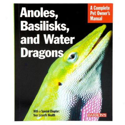 Anoles, Basilisks, And Water Dragons