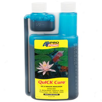 Ap Pro Pond Quick Cure