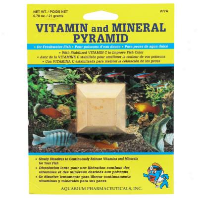 Aquarium Pharmaceuticalls Vitamin And Mineral Pyramid