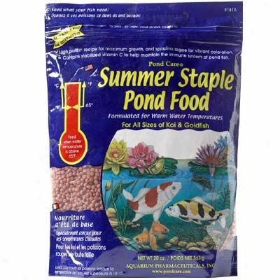 Aquarium Pharmaceuticals Summer Staple Ponc Food