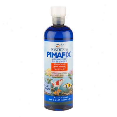 Aquarium Pharmaceuticals Pimafix