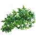 Aquarium Systems Fancy Plants Philodendron Vine