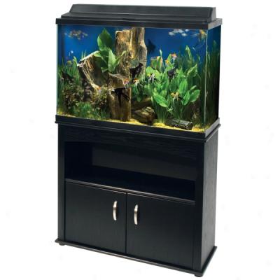 Aqueon 45 Gallon Aquarium Ensemble With Stand