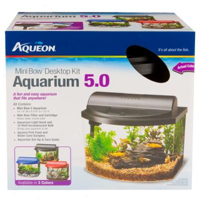 Aquarium Kits on Aqueon Mini Bow Desktop Aquarium Kits