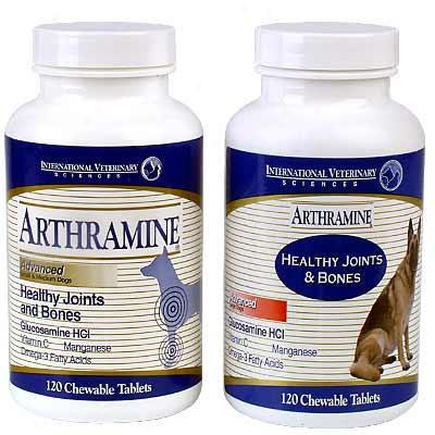 Arthramins Healthy Joints & Bones