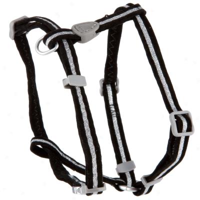 Aspen Pet Black Velvet Adjustable Harness