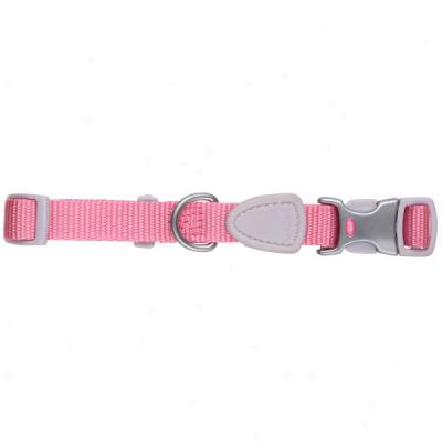 Aslen Pet Signature Fashion Collar And Lead