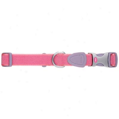 Aspen Pet Signature Pink Shimmer Adjustable Dog Collar