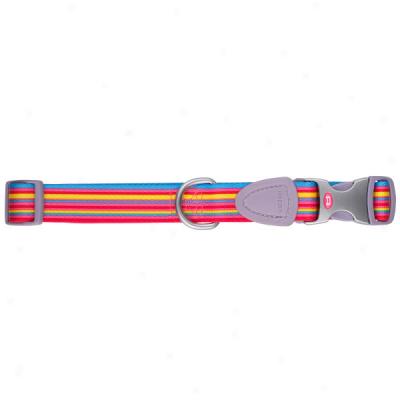 Aspen Pet Signature Striped Adjustable Dog Collar