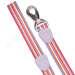 Aspen Pet® Signature™ Striped Dog Lead