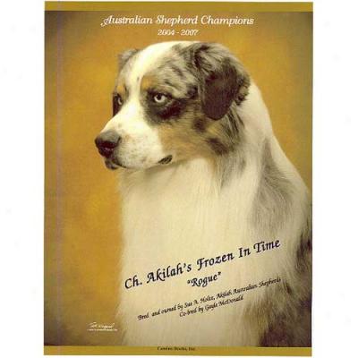 Australian Shepherd Champions 2004 To 2007