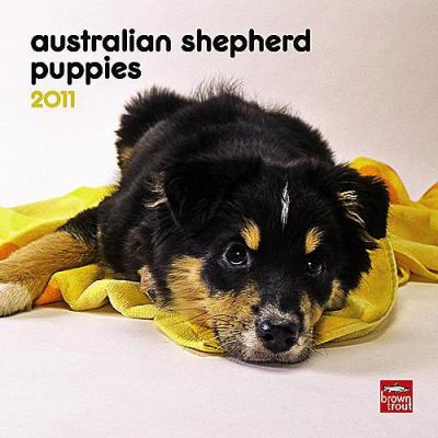 Australian Shepherd Puppies 2011 Mini Wall Calendar