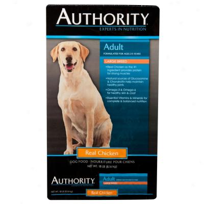 Authority? Adult Large Breed With Real Chciken