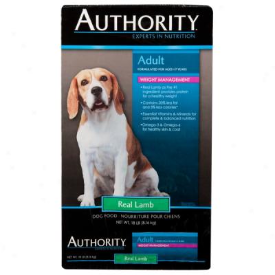 Authority? Adult Pressure Managrment With Real Lamb