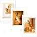 Avanti® Pet Representation Boxed Cards