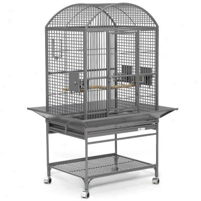 Avian Adventures Chiquita Dometop Bird Cage