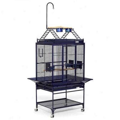 Avian Adventures Chiquita Playtop Bird Cage