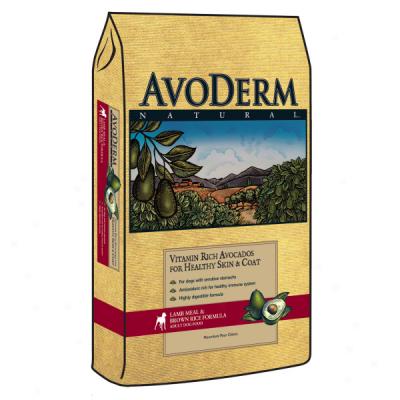 Avoderm Lamb & Rice Formula Person of mature age Dog Aliment