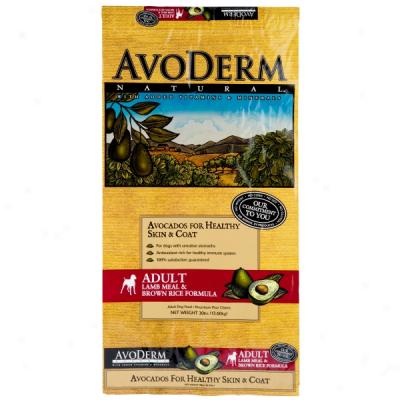 Avoderm Natural Person of mature age Dog Food