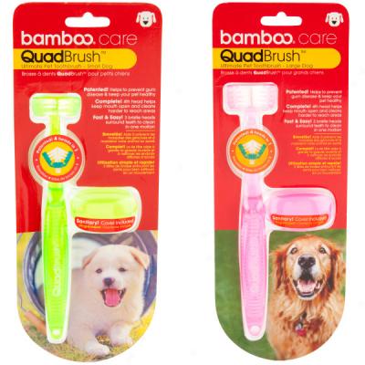 Bamboo Quadbrush Bring into use Pet Toothbrush For Dogs