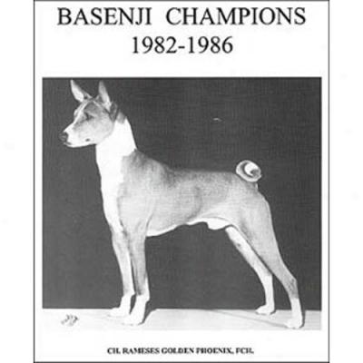 Basenji Champions, 1982-1986