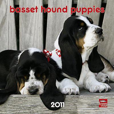 Basset Hound Puppies 2011 Mini Wall Calendar