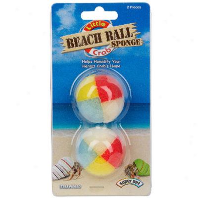 Beach Ball Sponges For Hermit Crabs