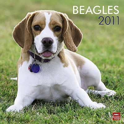 Beagle 2011 Calendar