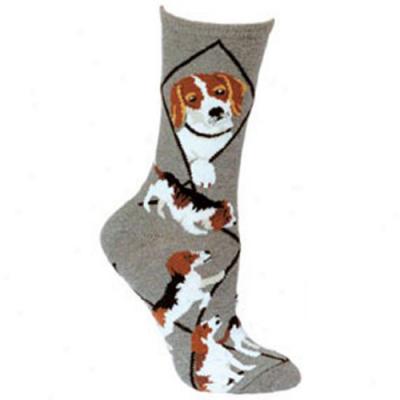 Beagle Breed Socks - Medium