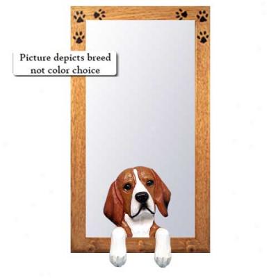 Beagle Hall Mirror Wiyh Oak Golden Construct