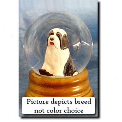 Bearded Collie (brown And White) Musical Snow Globe