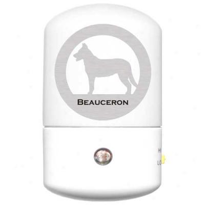 Beauceron Led Night Light