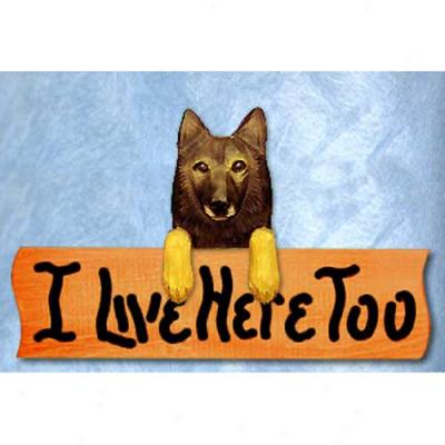 Belgian Tervuren I Feed Here Too Maple Finish Sign