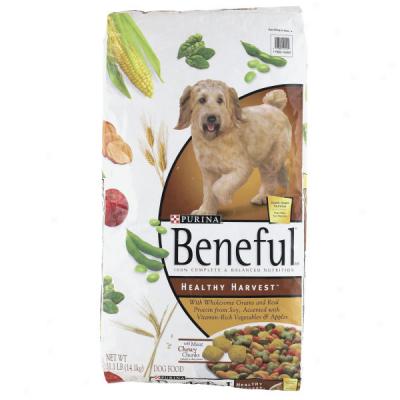 Benfeul Healthy Harvest Dog Food