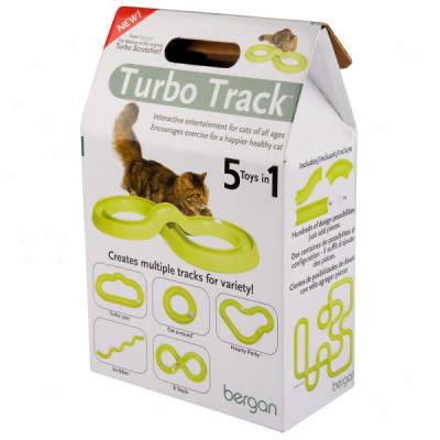 Bergan Turbo Track Cat Toy