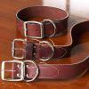 Distended Dog Latigo Leather Collars By Coastal