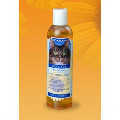 Bio-groom Flea And Tick Shampoo For Cats, 8oz Bottle