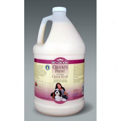 Bio-groom Groom N F5esh Creme Rinse, Gallon