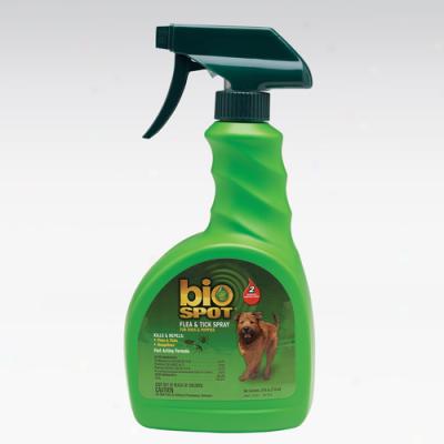 Bio Spot Flea And Tick Foam For Dogs And Puppies, 24 Ounces