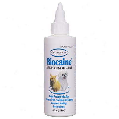 Biocaine Antiseptic First Aid Lotion