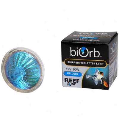 Biorb And Biube Halogen Light Bulb