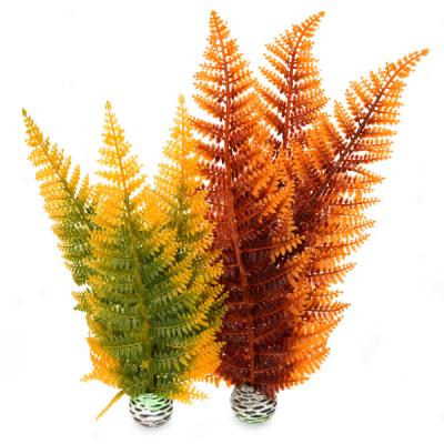 Biorb Autumn Fern Aquarium Plants