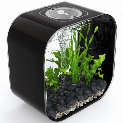 Biorb Life 30 Designe rAquarium - 8 Gallons