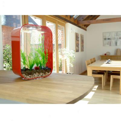 Biorb Life 45 Designer Aquarium - 12 Gallons