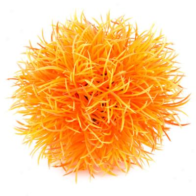 Biorb Orange Plant Ball
